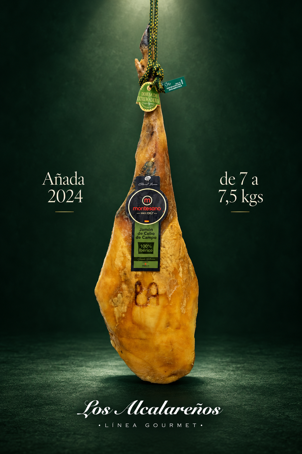 Jamón 100% ibérico Cebo de campo Montesano D.O. Dehesa de Extremadura de 7 a 7,5 kgs